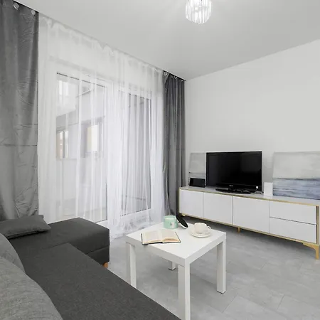 Eleganckie I Stylowe Z Balkonem W Sosnowcu By Renters