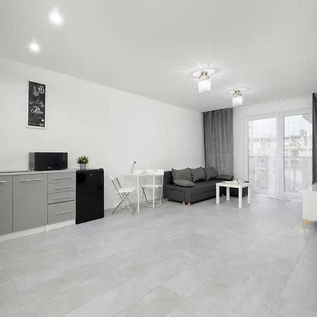 Eleganckie I Stylowe Z Balkonem W Sosnowcu By Renters *